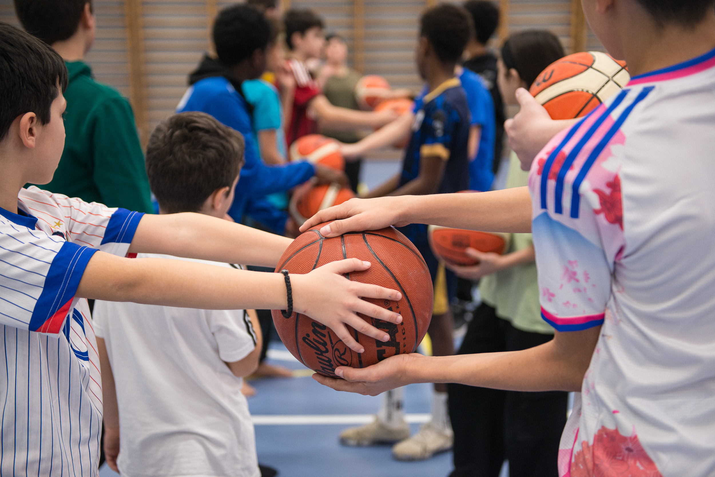 basket 