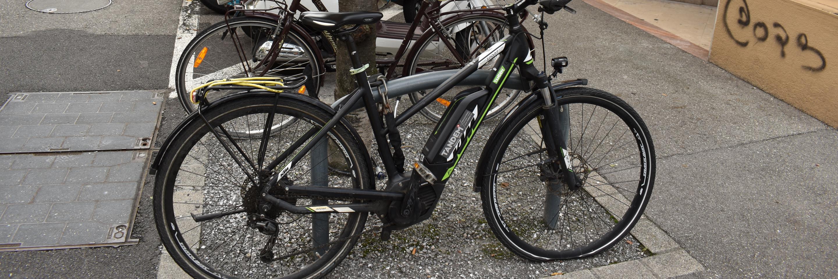 vélo dans parc deux-roues