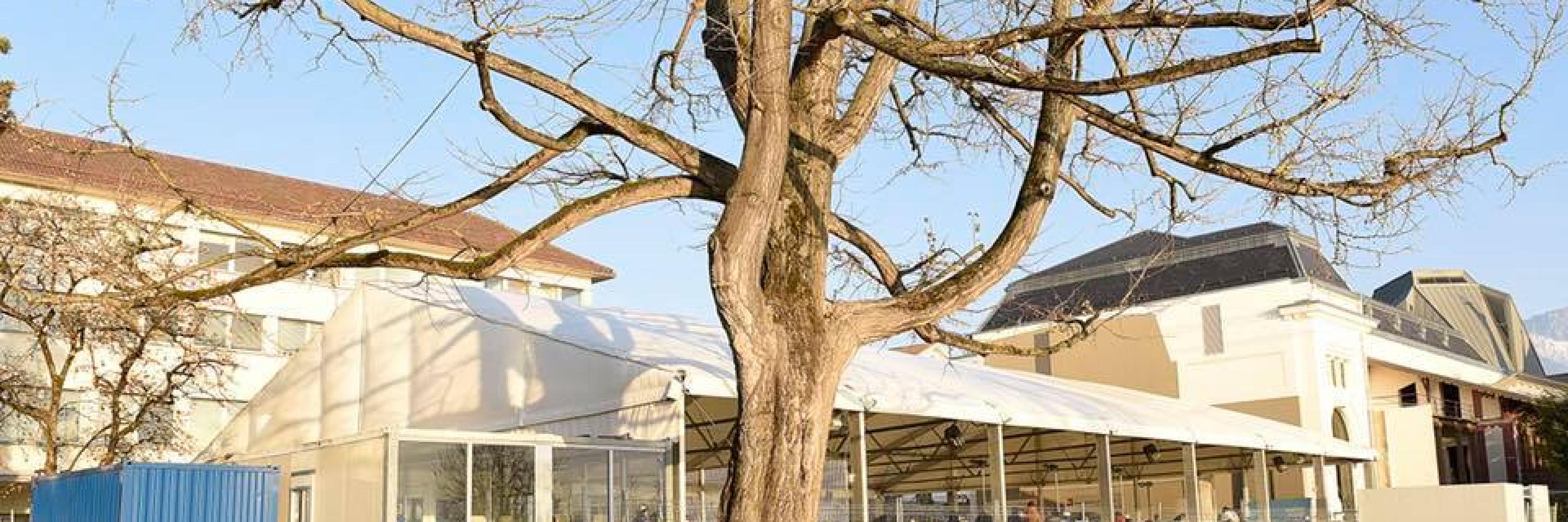 Patinoire_Vevey