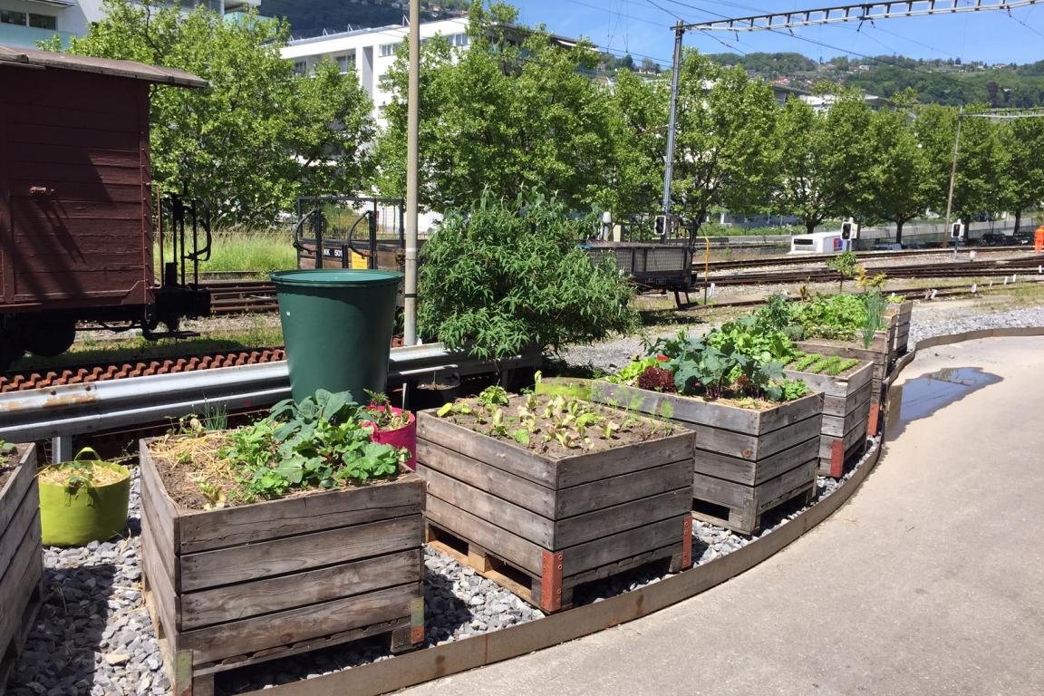 Potager de la Guinguette