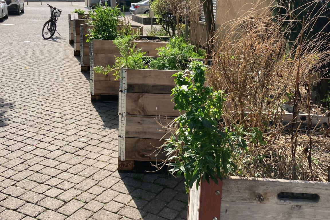 Potager rue des Jardins