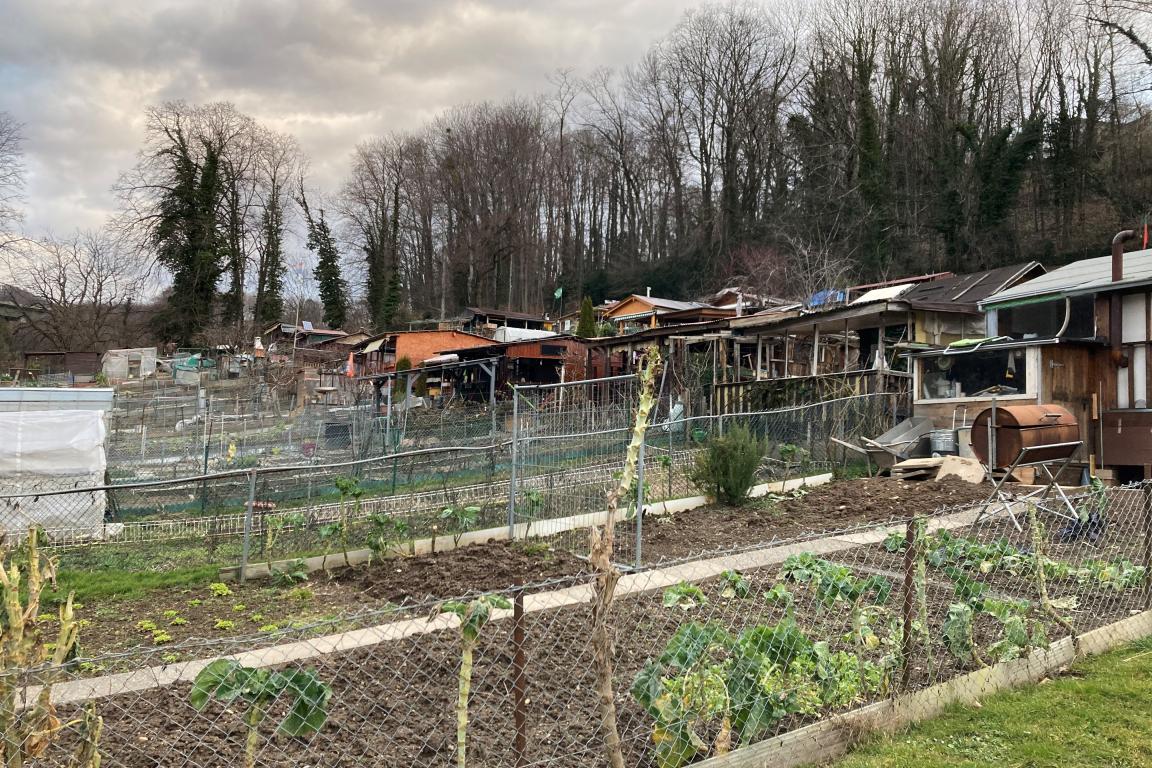 Jardins familiaux de Gilamont