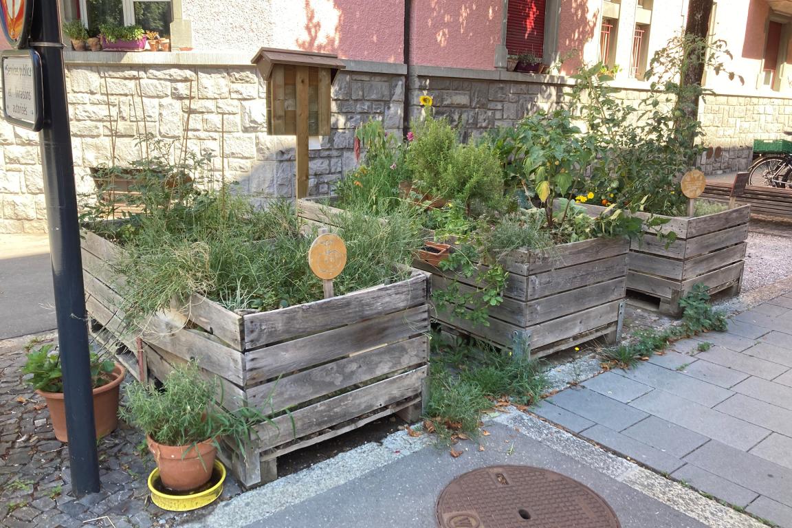 Potager rue du Nord