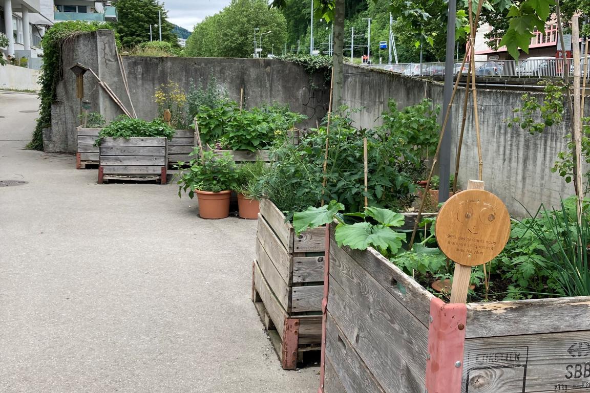 Potager des Moulins