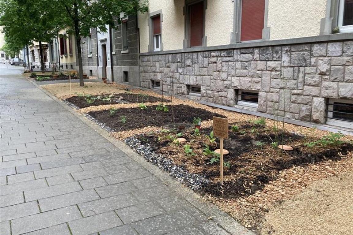 Potager rue du Nord