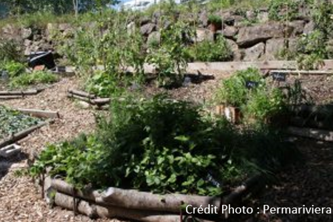 Potager de Charmontey