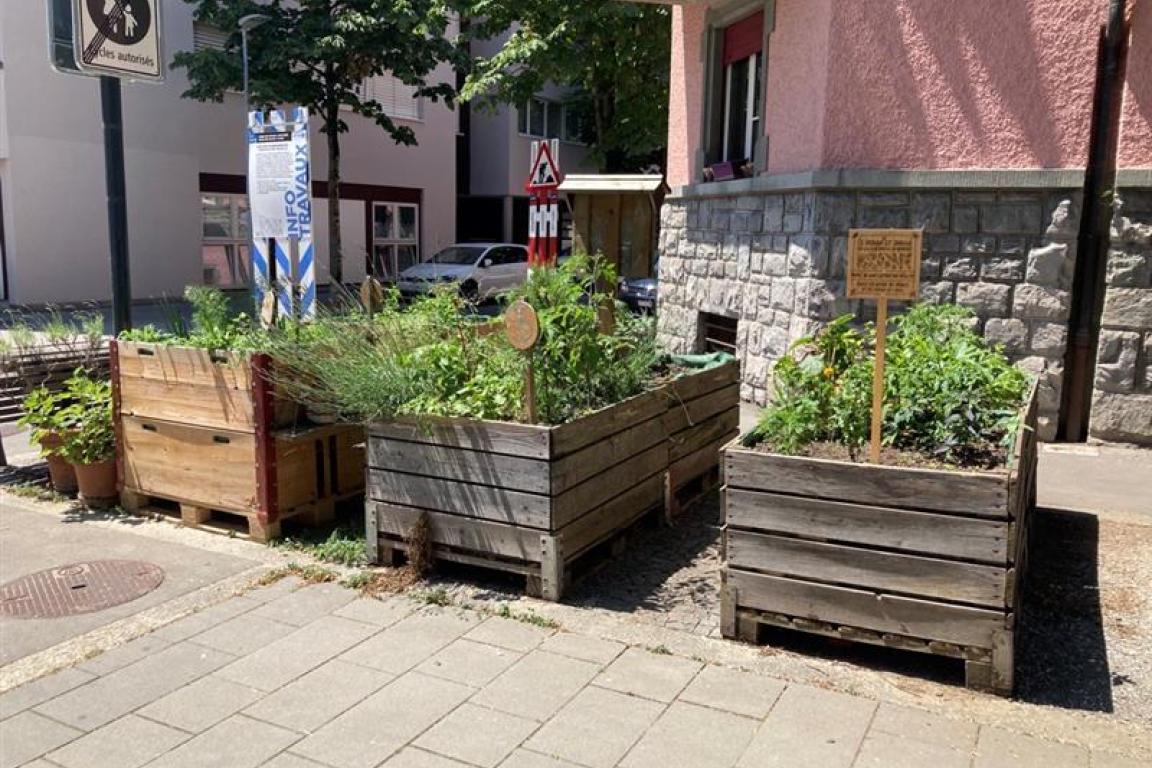 Potager rue du Nord