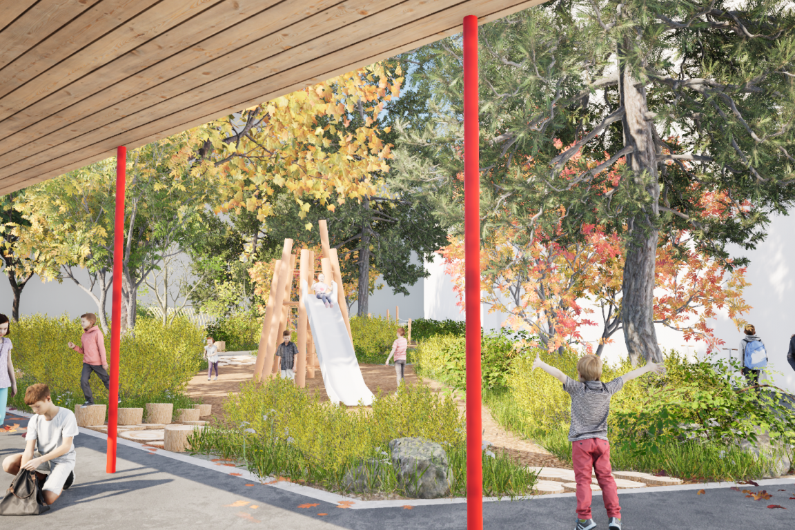 Image 3D