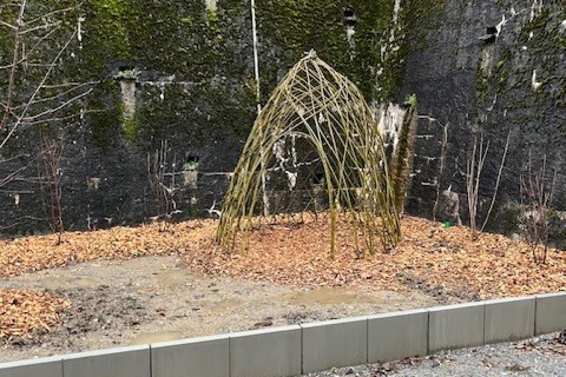 Installation de la cabane en saule 