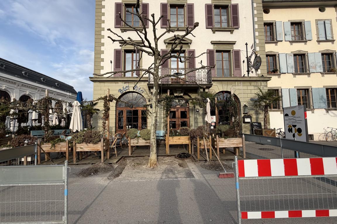 Emplacement initial du platane