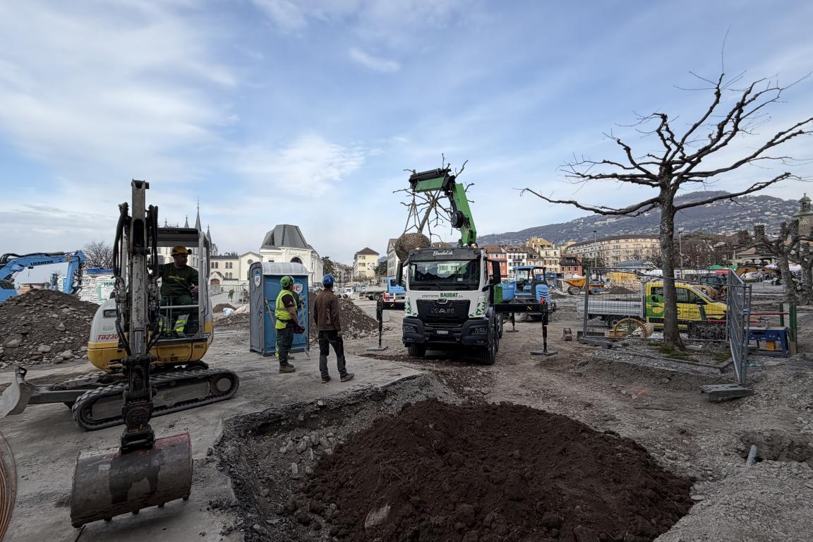 Pose de l'arbre sur son nouvel emplacement