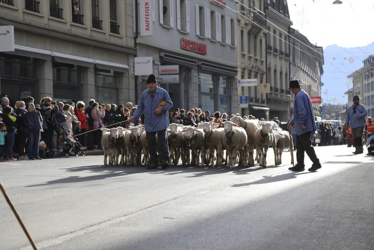 Cortège Foire St-Martin