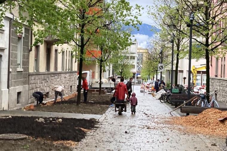 Potager rue du Nord Vevey