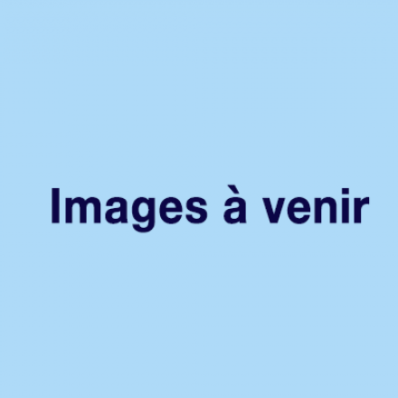 Les images seront mises en ligne prochainement